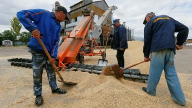 Die Ukraine spielt die Hoffnung auf ein Abkommen zur Beendigung der russischen Getreideblockade herunter