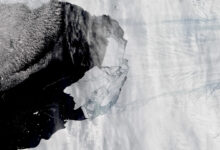 Uralte Pinguinknochen zeigen eine beispiellose Schrumpfung wichtiger antarktischer Gletscher