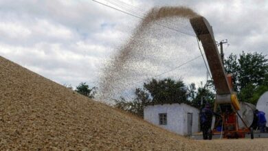 Abkommen über die Freigabe von Millionen Tonnen Getreide aus ukrainischen Häfen auf dem Tisch