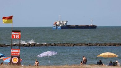 Die Ukraine sagt, die Türkei habe ein russisches Schiff mit geplündertem Getreide gestoppt