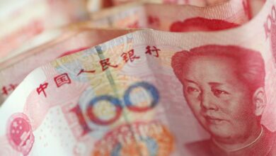 Die Zentralbanken setzen auf den chinesischen Renminbi, um die Devisenreserven zu diversifizieren