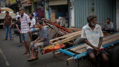 Keine Nahrung, kein Treibstoff und keine Jobs: die Wirtschaftskatastrophe in Sri Lanka