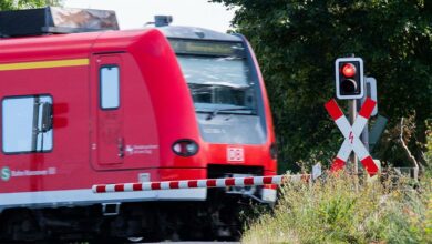 9-Euro-Bahnpass: 52 Millionen billige Bahntickets in drei Monaten verkauft, während die Deutschen den Deal annehmen