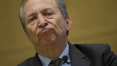 Die NY Fed gegen Larry Summers