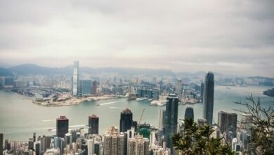 Hippo Financial von Gate.io erhält Krypto-Verwahrungslizenz für Hongkong