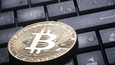 Märkte: Bitcoin wird über 20.000 US-Dollar gehandelt, Ether rutscht ab, Cardano gewinnt