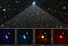 Hier ist das erste direkte Bild des James-Webb-Teleskops eines Exoplaneten