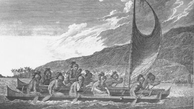 „Die Fünf-Millionen-Jahre-Odyssee“ zeigt, wie Migration die Menschheit geprägt hat