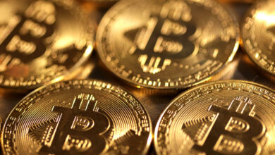 Bitcoin steigt über 20.000 $: Ist es jetzt ein sicherer Hafen?
