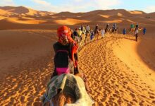 Marokko hebt seine letzten COVID-Beschränkungen auf: Alles, was Sie wissen müssen, um Ihre Reise zu planen